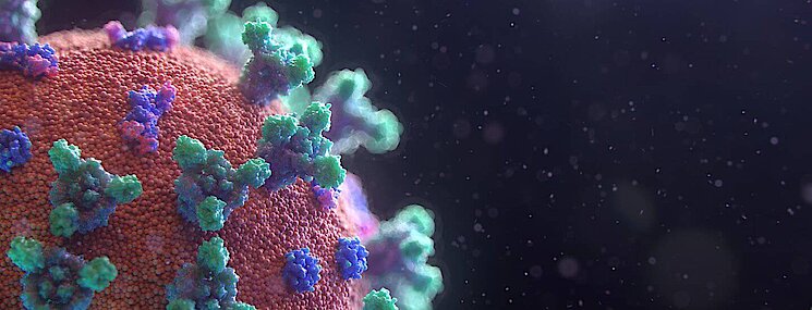 Corona_Header_fusion_medical Corona Header