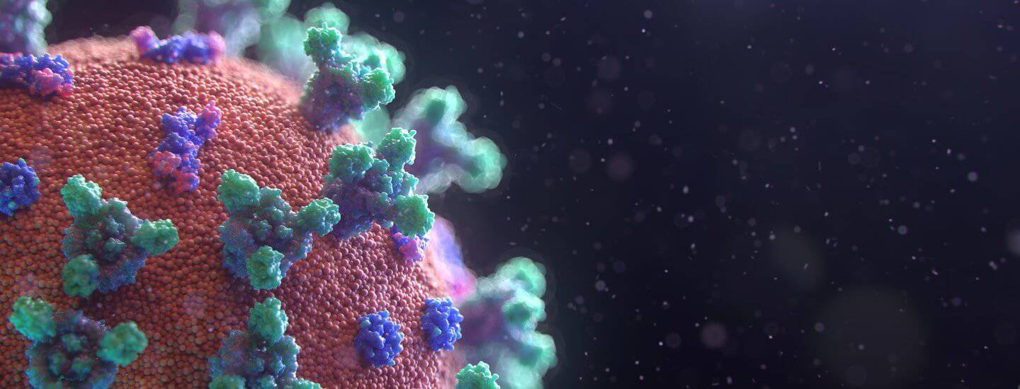 Corona_Header_fusion_medical Corona Header